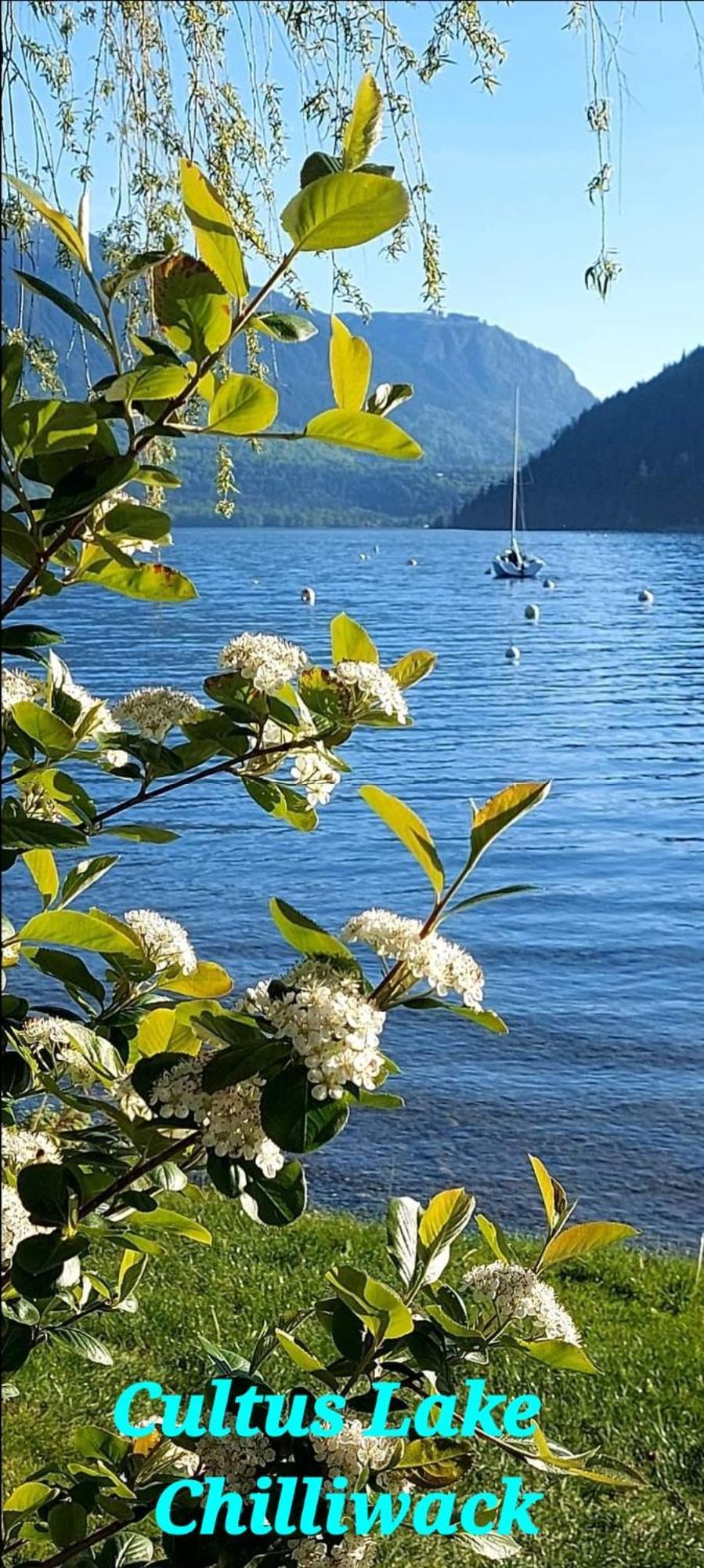 Private 2 Bedrooms Suite Near Hwy 1, Cultus Lake, Heritage Park, Fishing, Coliseum Chilliwack Bilik gambar